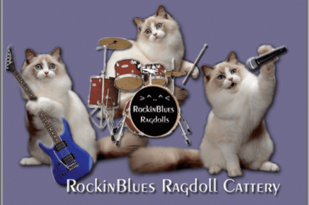 RockinBlues Rags Ragdolls